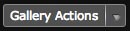 gallery-actions-button