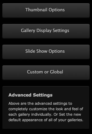 adv-gallery-settings-panel