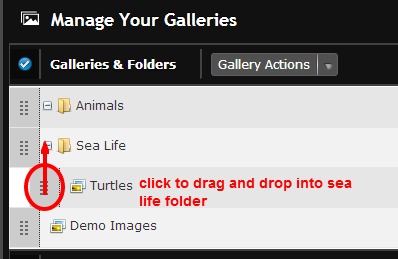 place gallery into folder